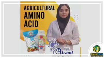 اسید آمینه کشاورزی